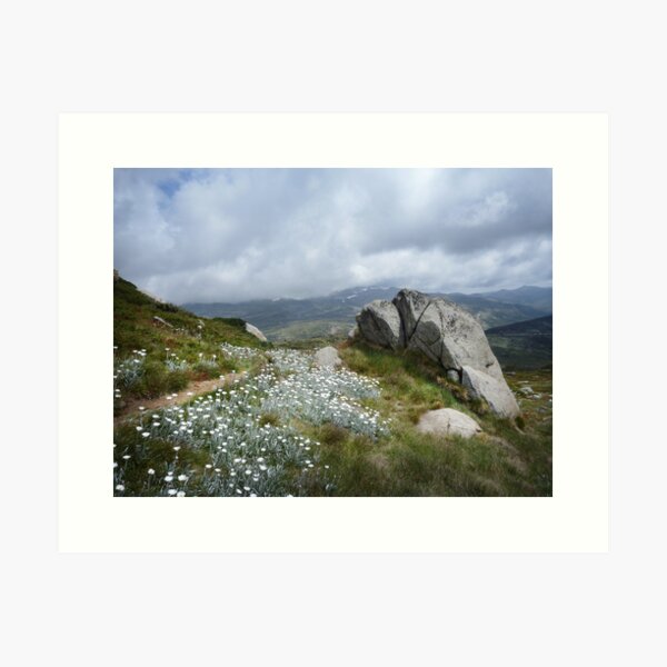 Item preview, Wildflowers on Mt Stilwell designed and sold by Jan Glover.