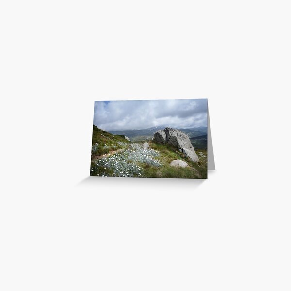 Item preview, Wildflowers on Mt Stilwell designed and sold by Jan Glover.