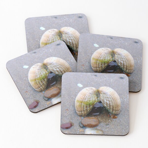 Item preview, shells designed and sold by KathleenDawson.