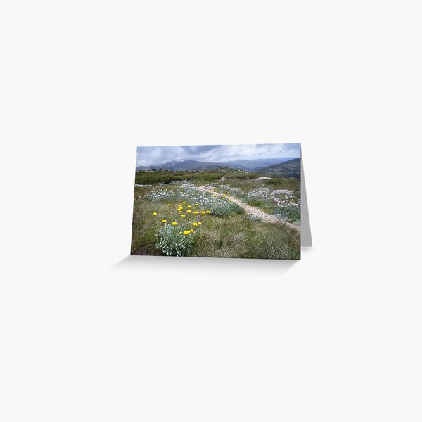 Item preview, Stilwell track designed and sold by Jan Glover.