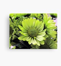 Green Daisy Canvas Print