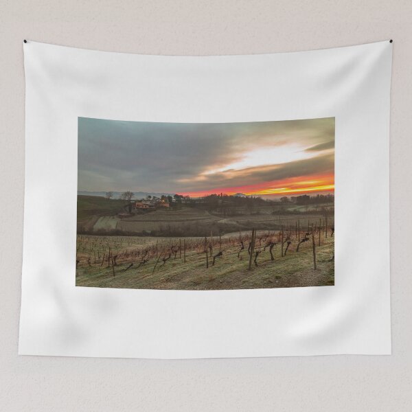 Item preview, Cold misty morning in the vineyards of Italy designed and sold by zakaz86.