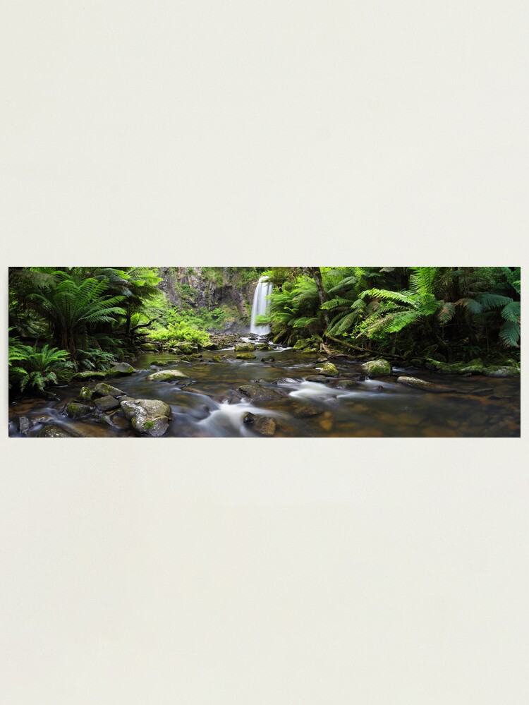 Thumbnail 2 of 3, Photographic Print, Hopetoun Falls, Otways, Great Ocean Road, Australia designed and sold by Chockstone.