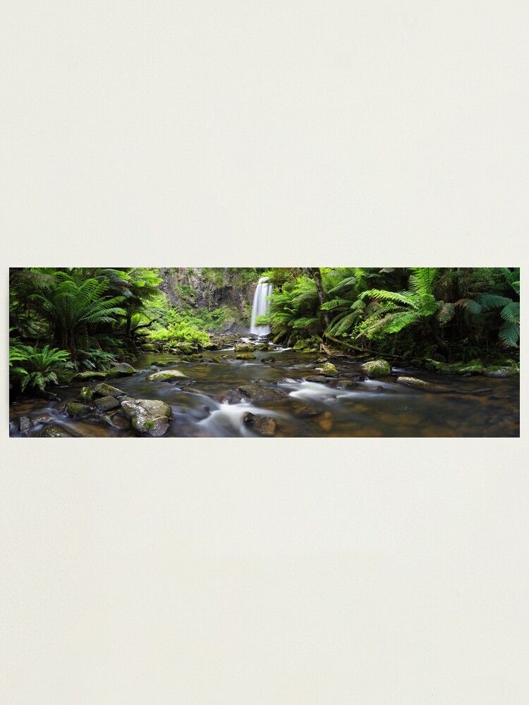 Thumbnail 2 of 3, Photographic Print, Hopetoun Falls, Otways, Great Ocean Road, Australia designed and sold by Chockstone.