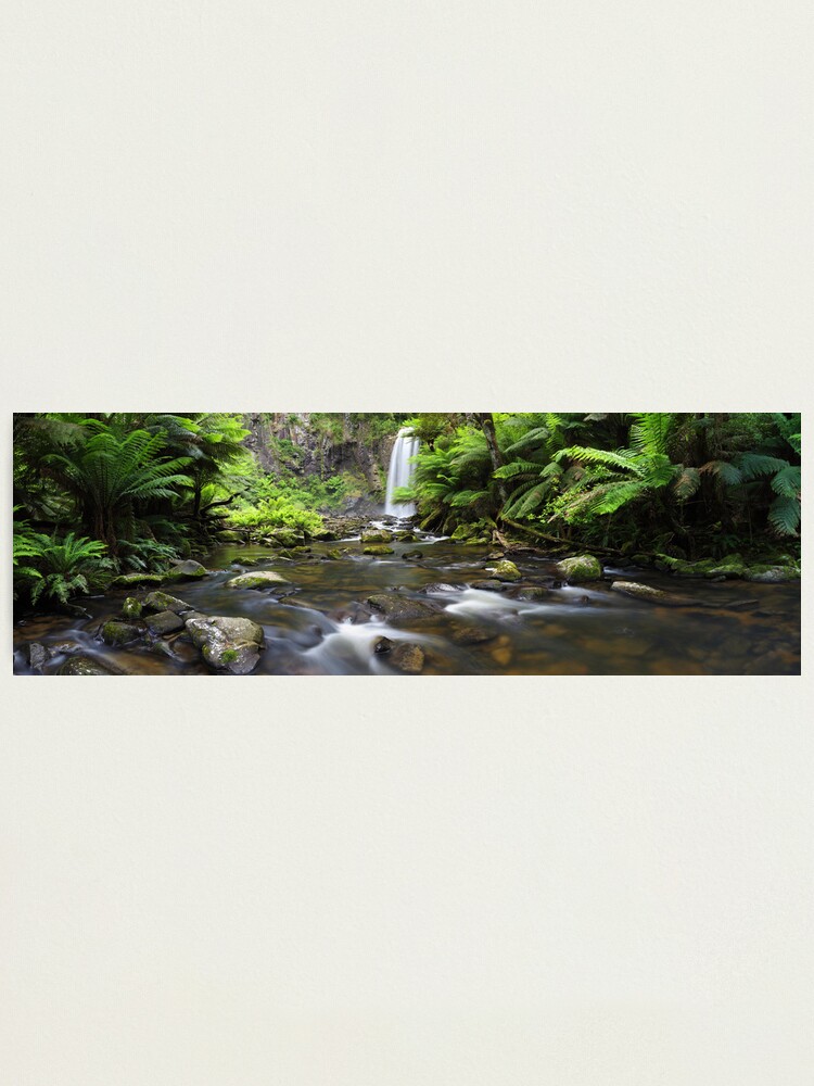 Thumbnail 2 of 3, Photographic Print, Hopetoun Falls, Otways, Great Ocean Road, Australia designed and sold by Chockstone.