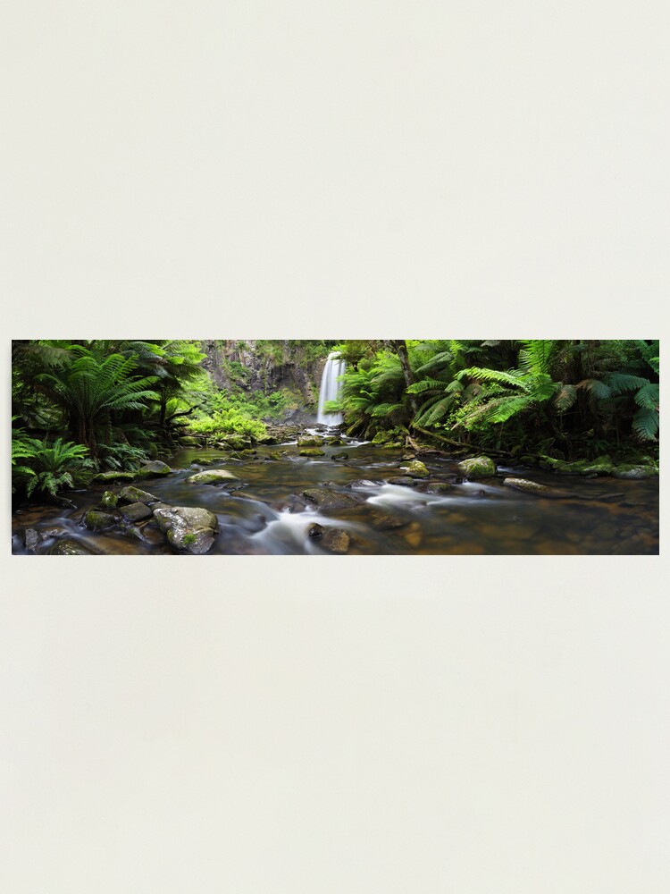Thumbnail 2 of 3, Photographic Print, Hopetoun Falls, Otways, Great Ocean Road, Australia designed and sold by Chockstone.