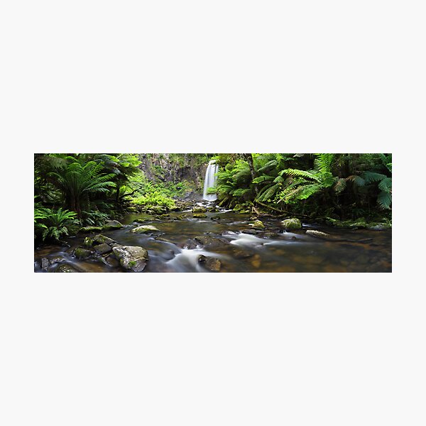 Photographic Print