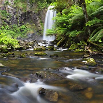 Artwork thumbnail, Hopetoun Falls, Otways, Great Ocean Road, Australia by Michael Boniwell