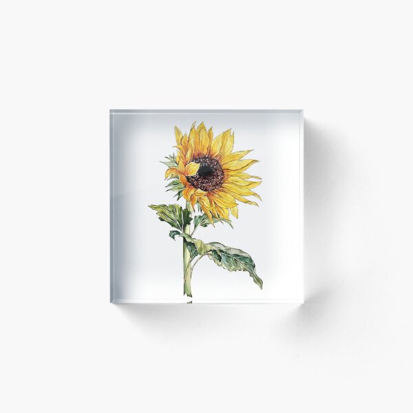 Sonnenblume Acrylblock