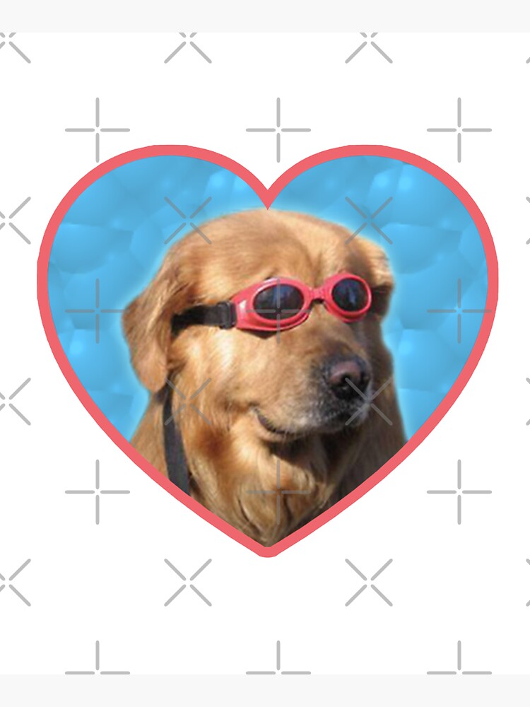 Doggo Stickers: Swimmer Dog by Elisecv
