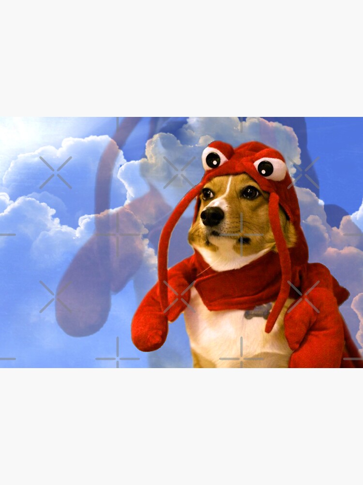 Lobster Corgi, Doggo #1 by Elisecv