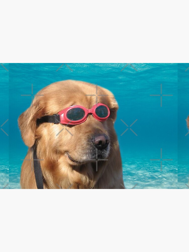 Swimmer Dog by Elisecv