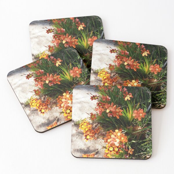 Item preview, Spring Colour, Adelong, N.S.W. australia. designed and sold by kaysharp.