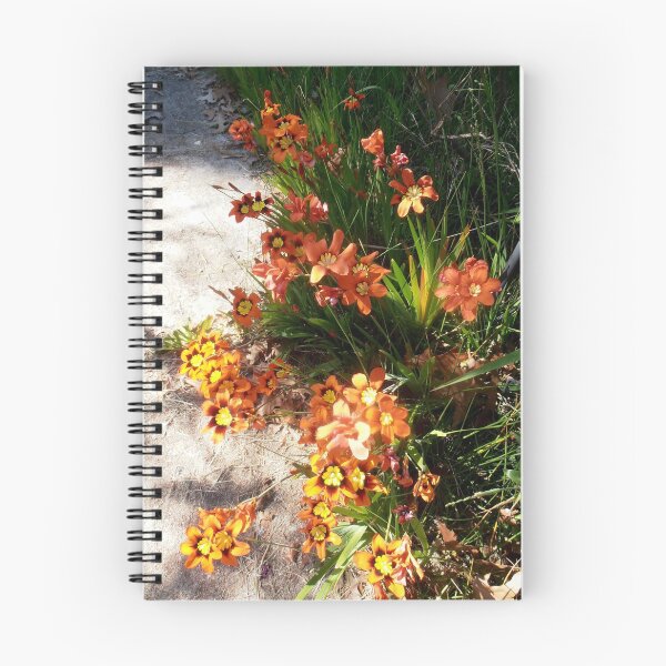 Item preview, Spring Colour, Adelong, N.S.W. australia. designed and sold by kaysharp.