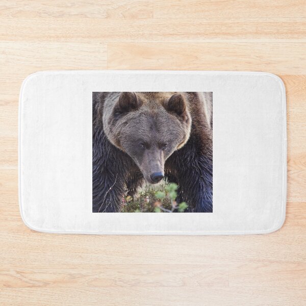 Item preview, Did you say something to me. Brown Bear designed and sold by Jouko Lehto Photography.