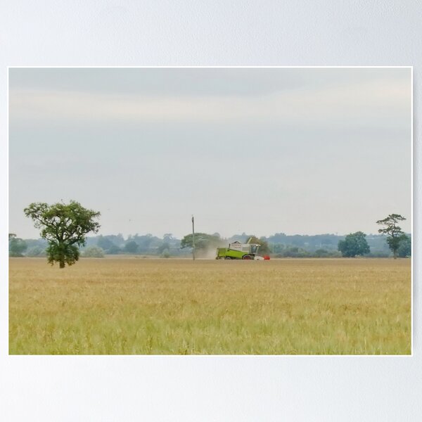 Item preview, Corn Field designed and sold by AnnDixon.