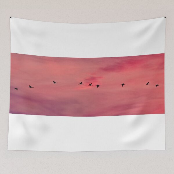 Item preview, Flying cranes panorama designed and sold by Jouko Lehto Photography.