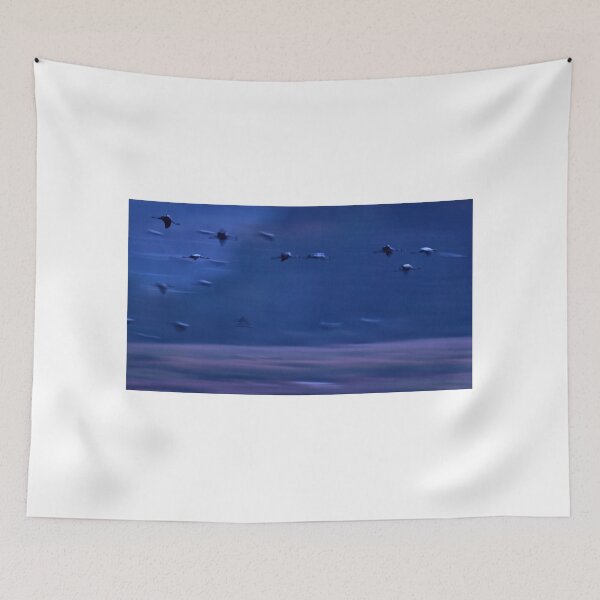 Item preview, Shadows from the blue. Eurasian cranes designed and sold by Jouko Lehto Photography.