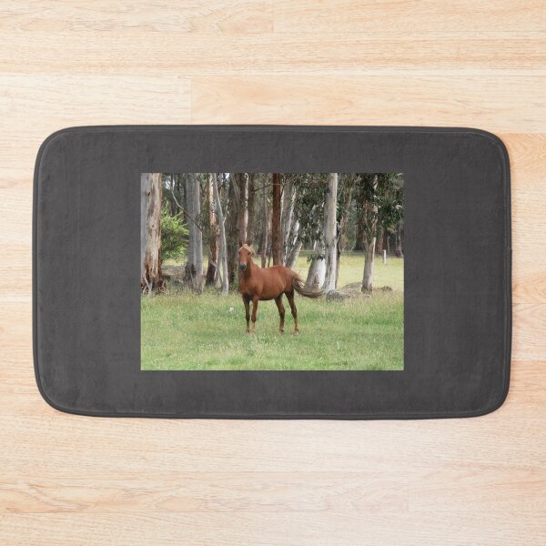 Item preview, Brindabella  Brumby, Brindabella Ranges, N.S.W. Australia. designed and sold by kaysharp.