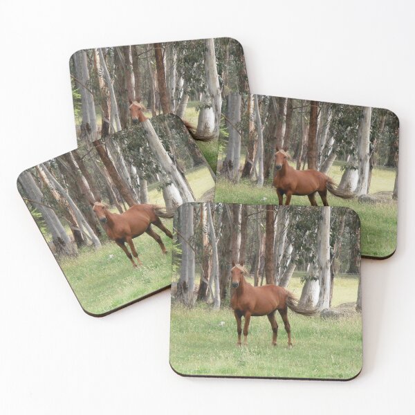 Item preview, Brindabella  Brumby, Brindabella Ranges, N.S.W. Australia. designed and sold by kaysharp.
