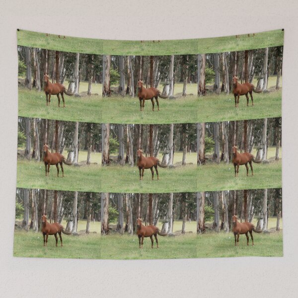 Item preview, Brindabella  Brumby, Brindabella Ranges, N.S.W. Australia. designed and sold by kaysharp.