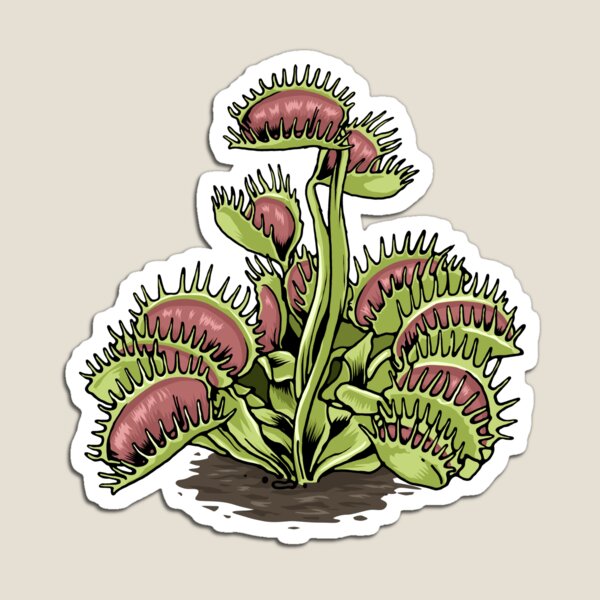 Item preview, Venus Fly Trap Tshirt Carnivorous Plant Shirt Water Pitcher designed and sold by DSWShirts.