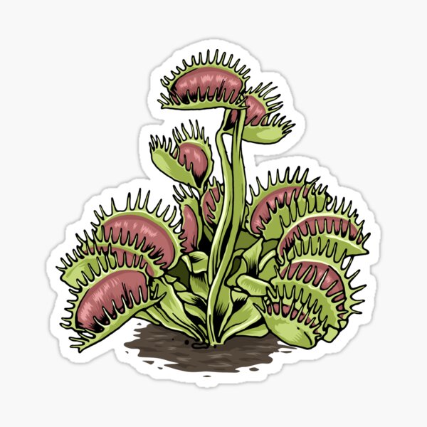 fly trap stickers