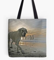 Port Willunga Sunset I Tote Bag