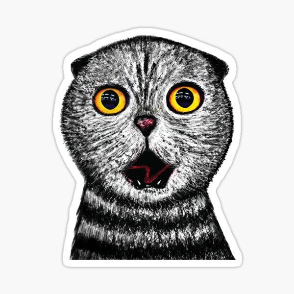 Oh my Cat! Sticker
