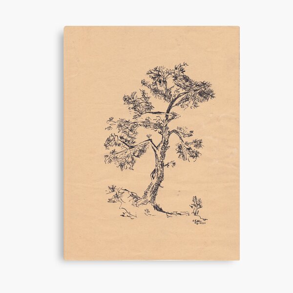 Tree Canvas Print