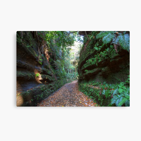 Road to Kamakura Canvas Print