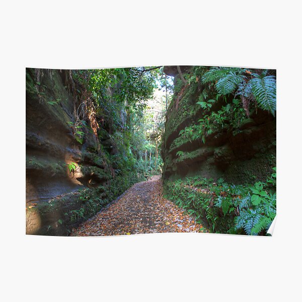 Road to Kamakura Poster
