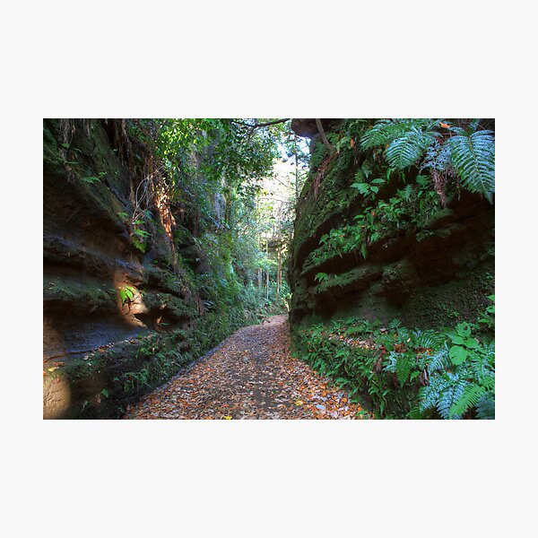 Road to Kamakura Photographic Print