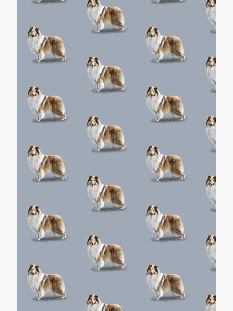 The Sable Rough Collie Dog by elspethrose
