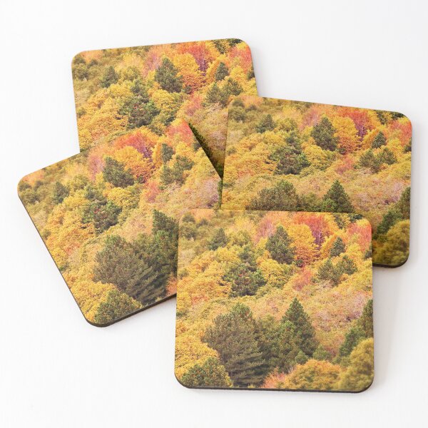 Item preview, Canopy in fall designed and sold by Delphimages Art.