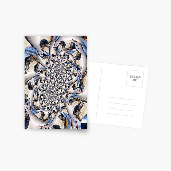 Double Seagull Spirals Postcard