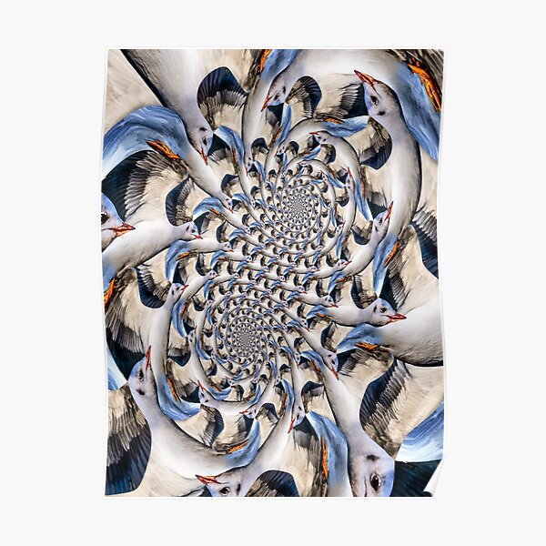 Double Seagull Spirals Poster