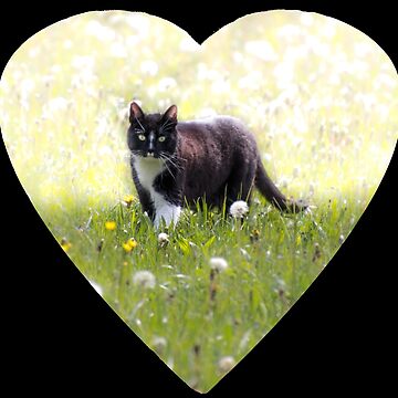 Vorschaubild zum Design Geschenkidee Katze von Katja LebenFreude