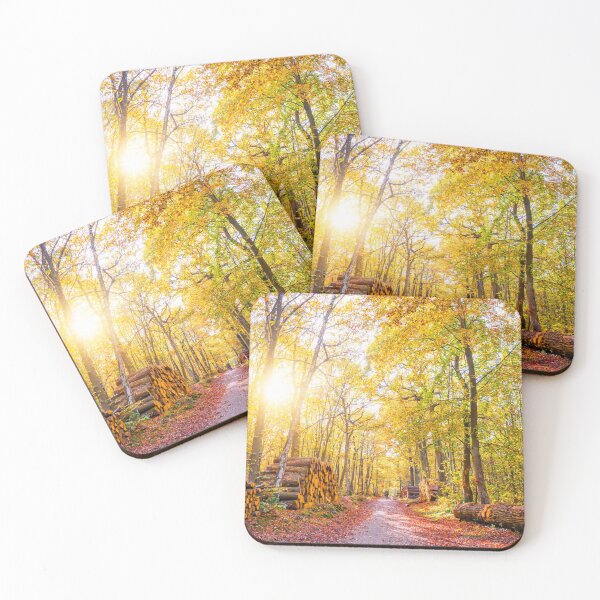 Item preview, Sunny autumn forest designed and sold by Delphimages Art.