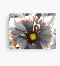Fire Flower Canvas Print