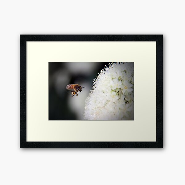 Item preview, Bee out for Breakfast designed and sold by laurasonja.