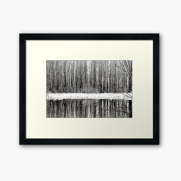 Whites of Winter Framed Art Print