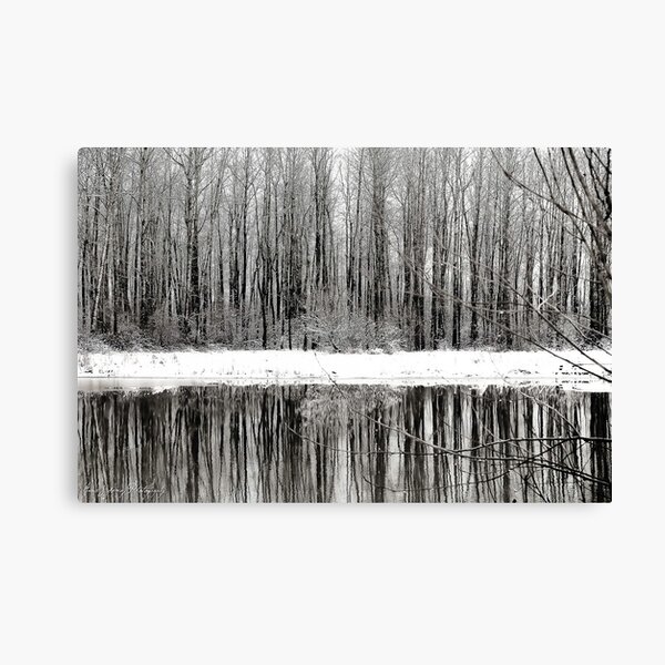 Whites of Winter Canvas Print