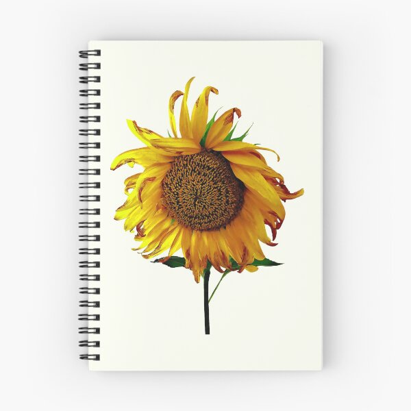 Item preview, Sunflower With Center Part designed and sold by Susan Savad.