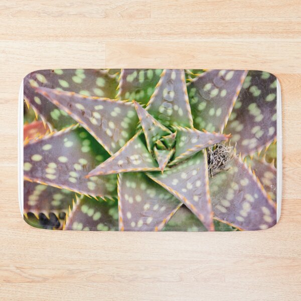 Item preview, Tropical succulent from Ecuador designed and sold by raymona pooler.