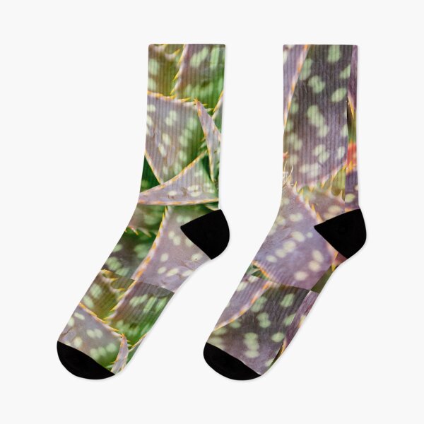 Item preview, Tropical succulent from Ecuador designed and sold by raymona pooler.