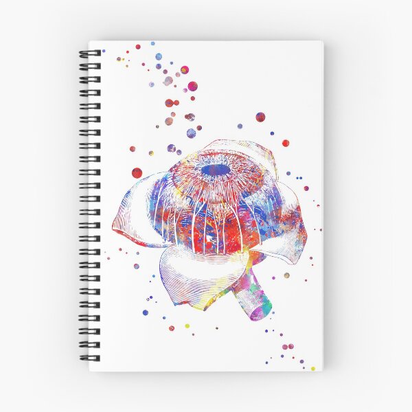 Item preview, Human eye section designed and sold by Rosaliartbook.