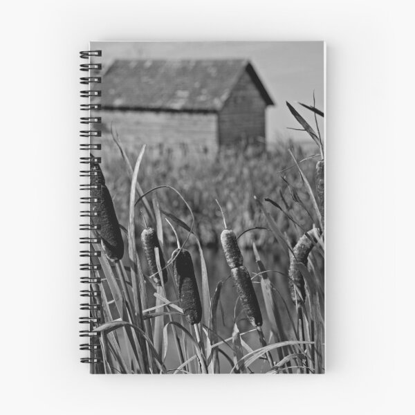 Item preview, the old homestead designed and sold by fishinmusician.