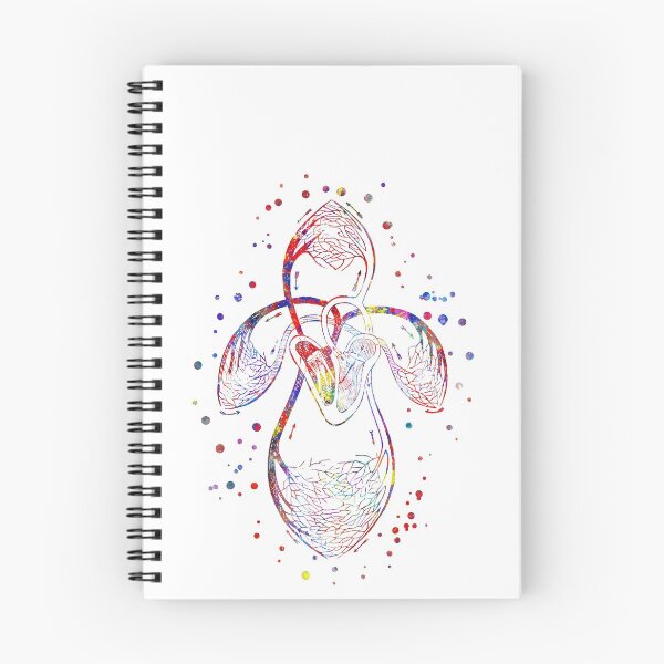 Item preview, Human organs of circulation designed and sold by Rosaliartbook.