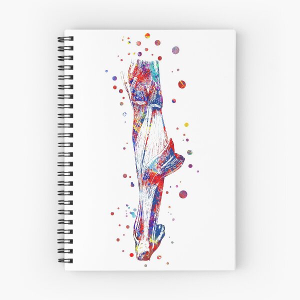 Item preview, Leg muscle designed and sold by Rosaliartbook.